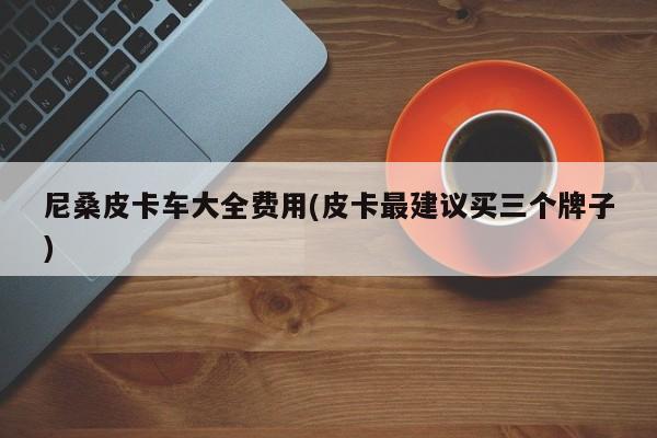 尼桑皮卡车大全费用(皮卡最建议买三个牌子)