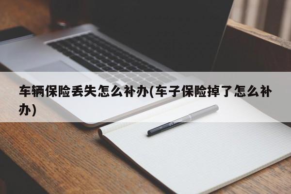 车辆保险丢失怎么补办(车子保险掉了怎么补办)