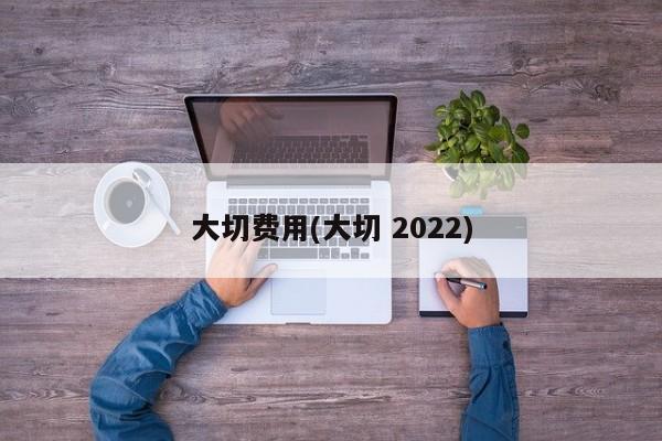 大切费用(大切 2022)