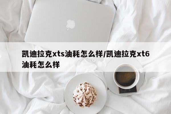 凯迪拉克xts油耗怎么样/凯迪拉克xt6油耗怎么样