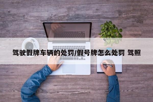 驾驶假牌车辆的处罚/假号牌怎么处罚 驾照