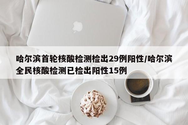 哈尔滨首轮核酸检测检出29例阳性/哈尔滨全民核酸检测已检出阳性15例