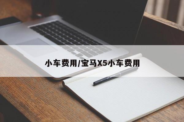 小车费用/宝马X5小车费用