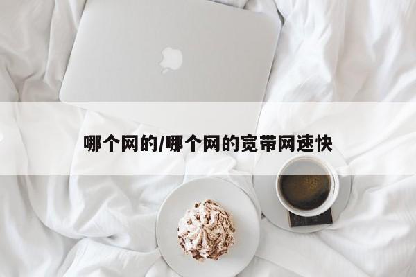 哪个网的/哪个网的宽带网速快