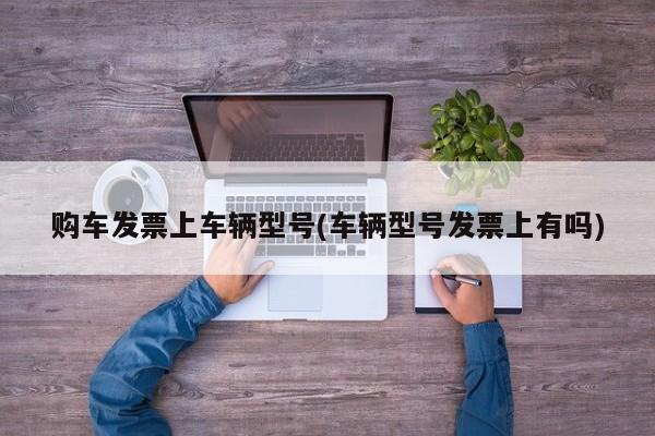购车发票上车辆型号(车辆型号发票上有吗)