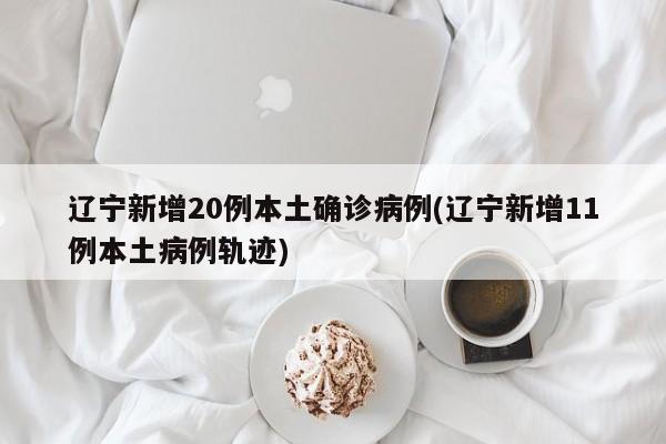 辽宁新增20例本土确诊病例(辽宁新增11例本土病例轨迹)