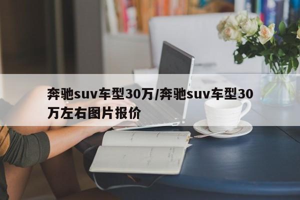 奔驰suv车型30万/奔驰suv车型30万左右图片报价