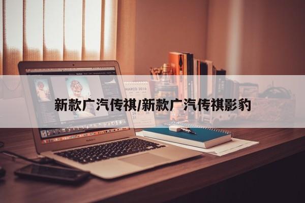 新款广汽传祺/新款广汽传祺影豹