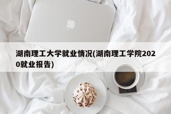 湖南理工大学就业情况(湖南理工学院2020就业报告)