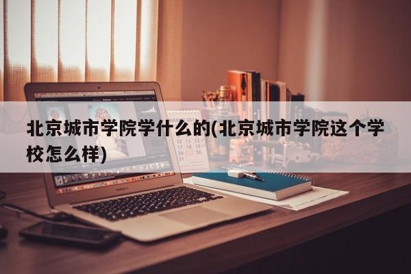北京城市学院学什么的(北京城市学院这个学校怎么样)