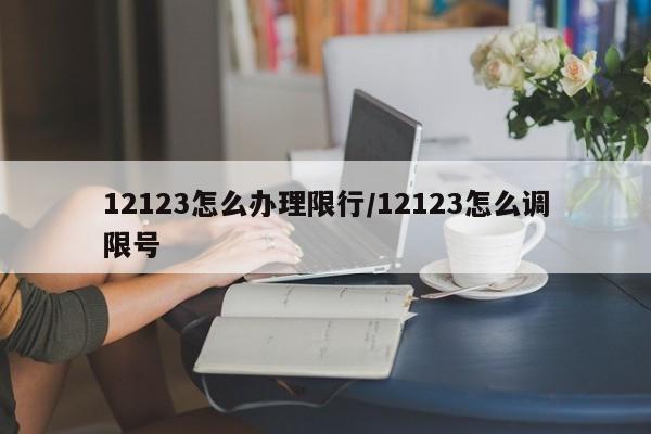 12123怎么办理限行/12123怎么调限号
